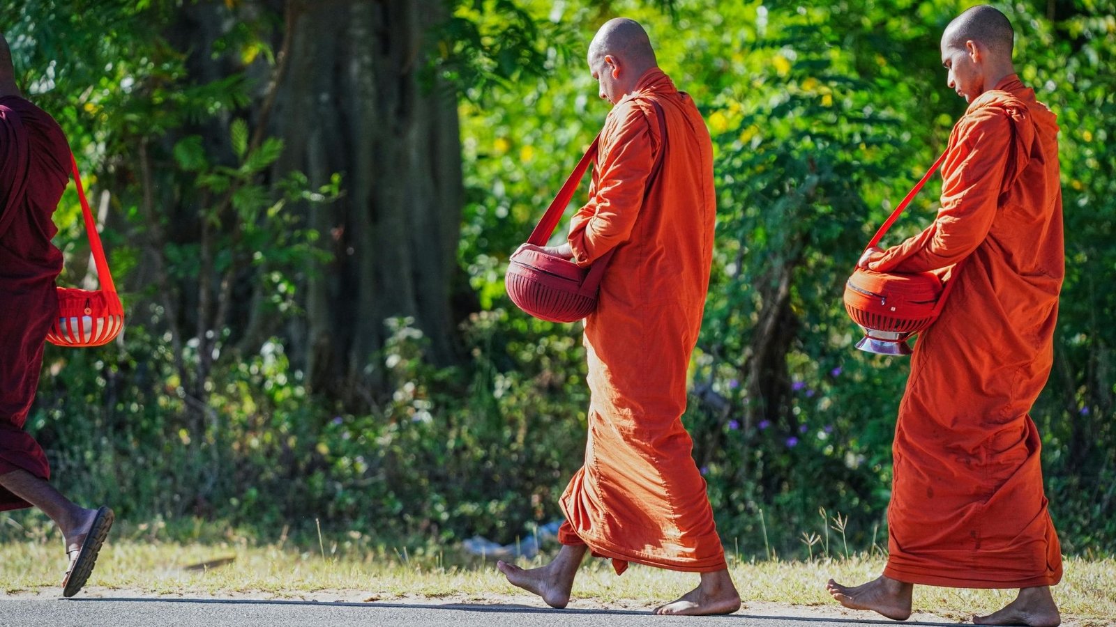 monk walking path forest
