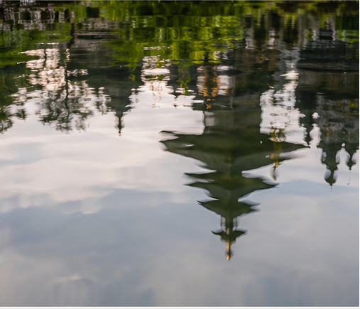 Still water reflection
