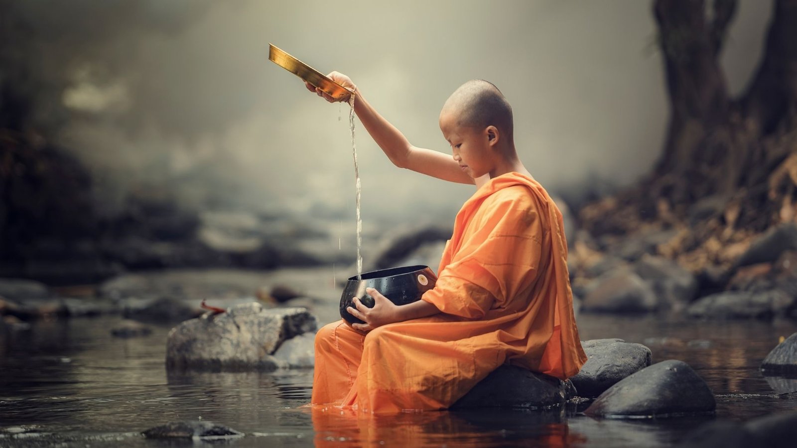 Thai forest monks walking quietly at sunrise with alms bowls