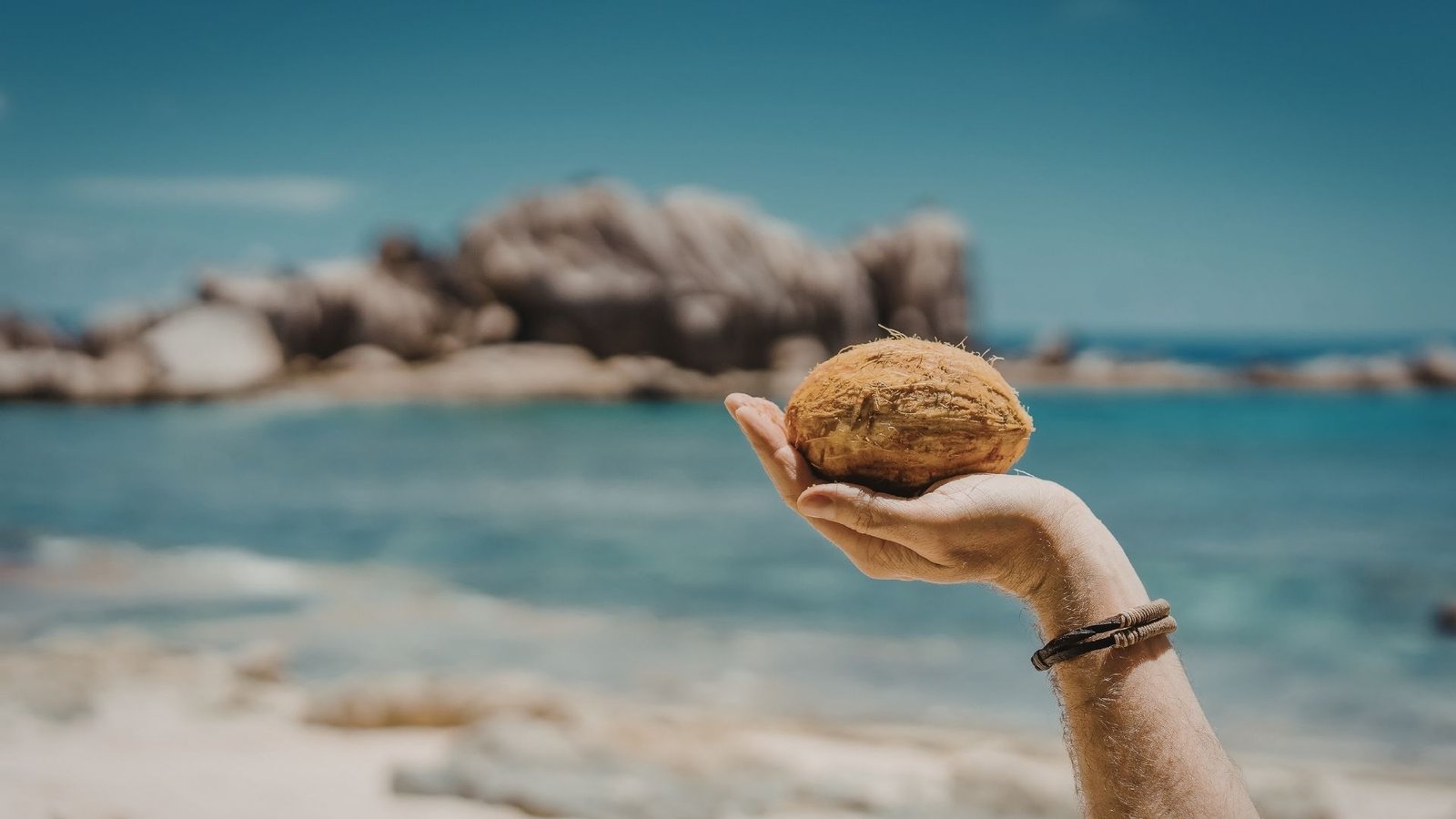 Hands holding a fresh coconut in Fiji