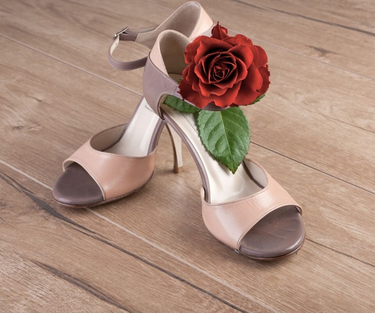 Tango shoes on wooden floor