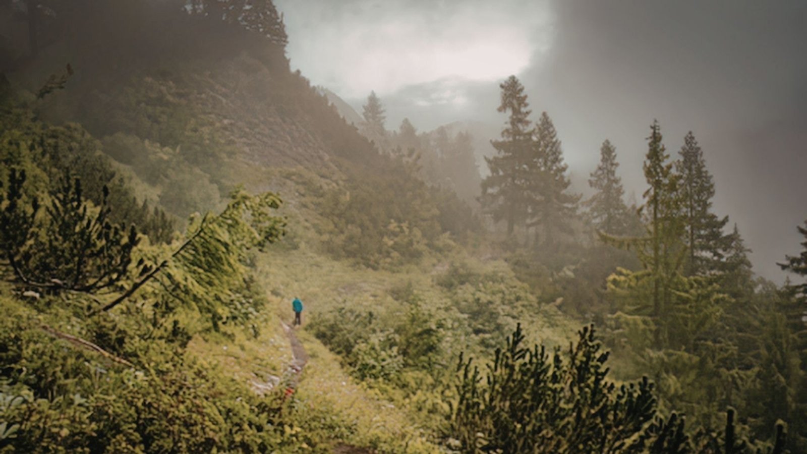 A lone traveler on a Himalayan trail