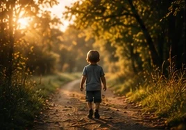 A quiet path at golden hour